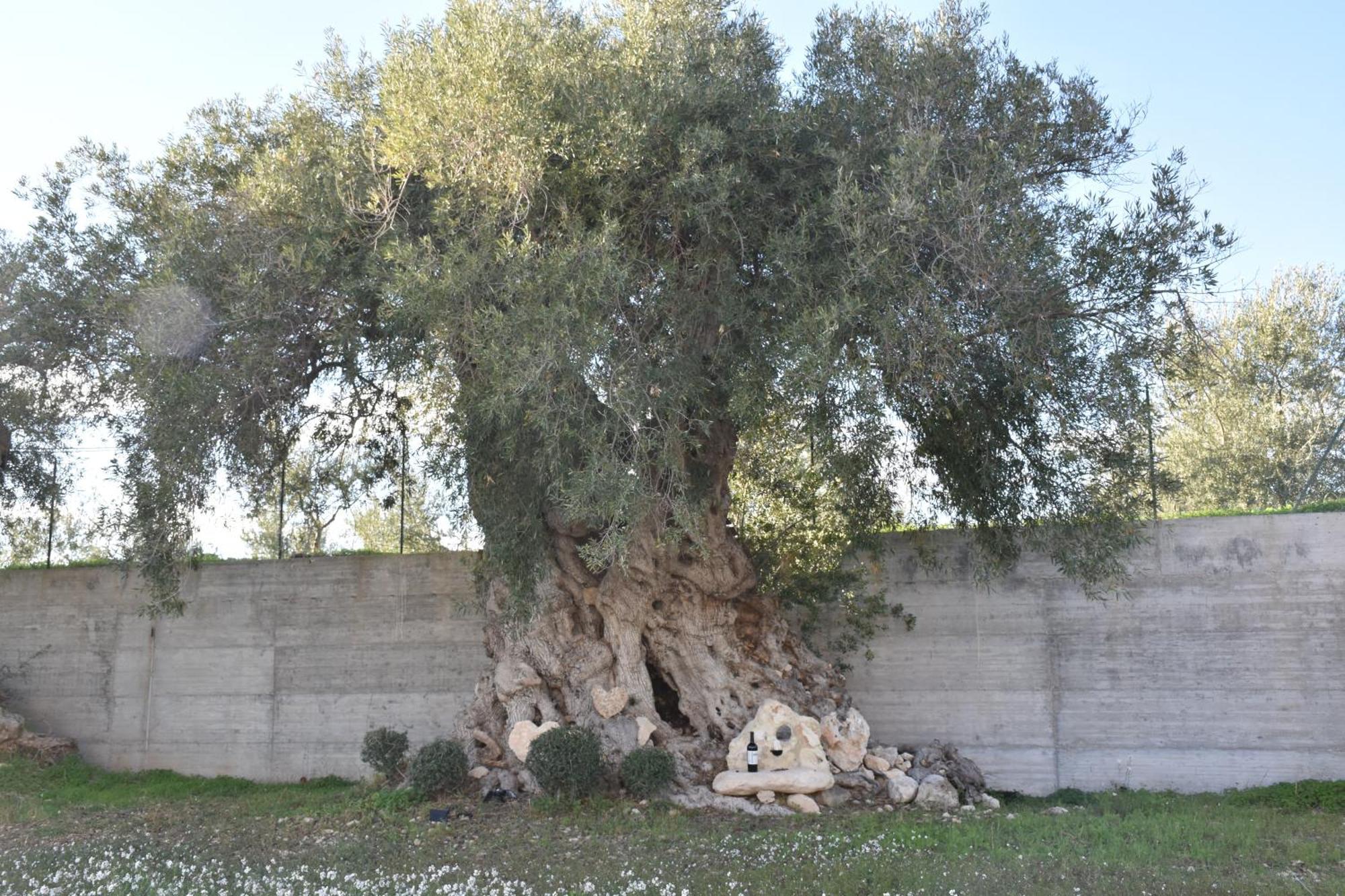 I Secolari Di Giulia Villa Avola Exteriör bild